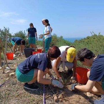 ANILIA ayuda con la reforestación de la Serra Grossa